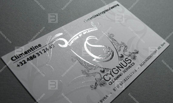 Visitenkarte «CYGNUS» - Reinigungsservice