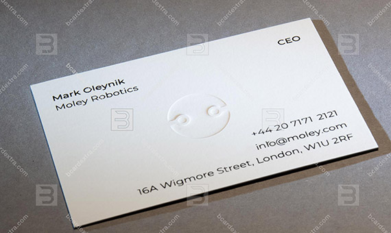 IT company business card - «MOLEY ROBOTICS» business card photo