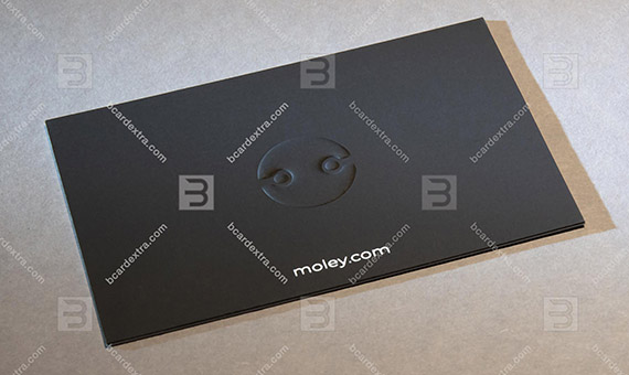 IT company business card - «MOLEY ROBOTICS»